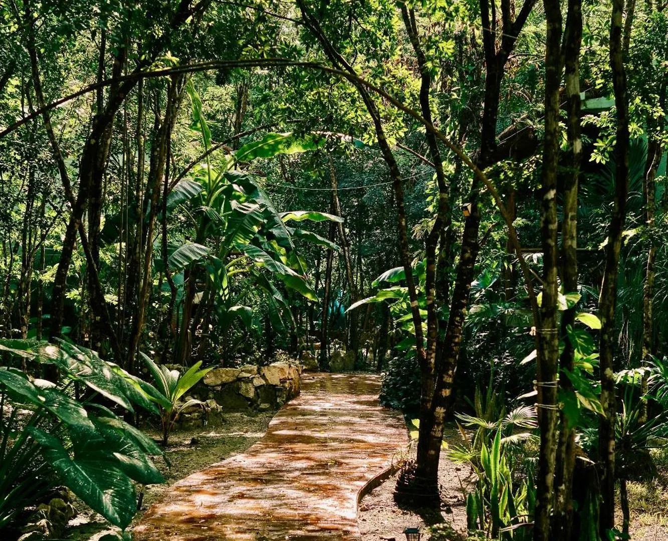 Villas Zamna - Jungle Villas Cozumel Mexico