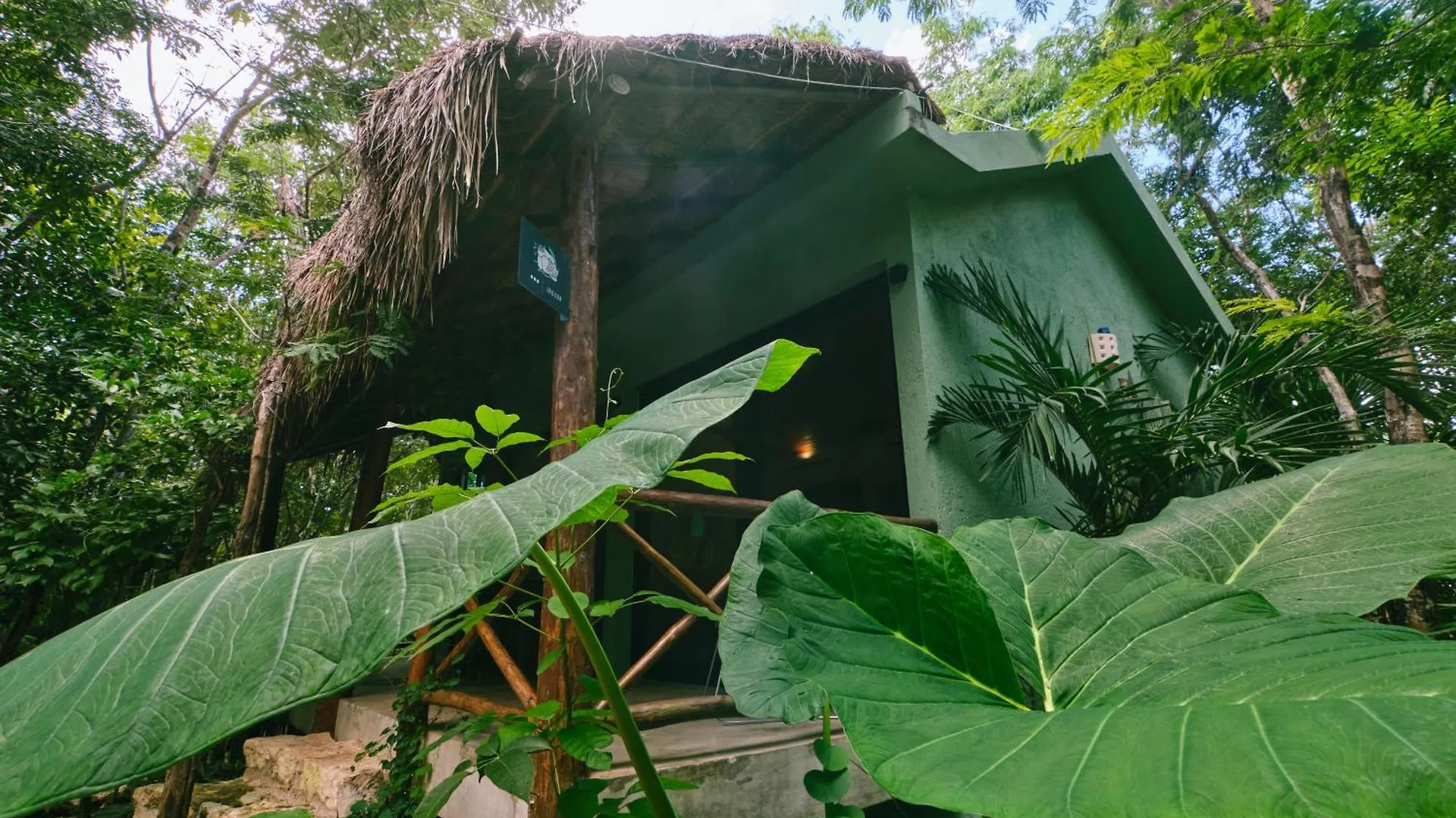 Villas Zamna - Jungle Villas Cozumel