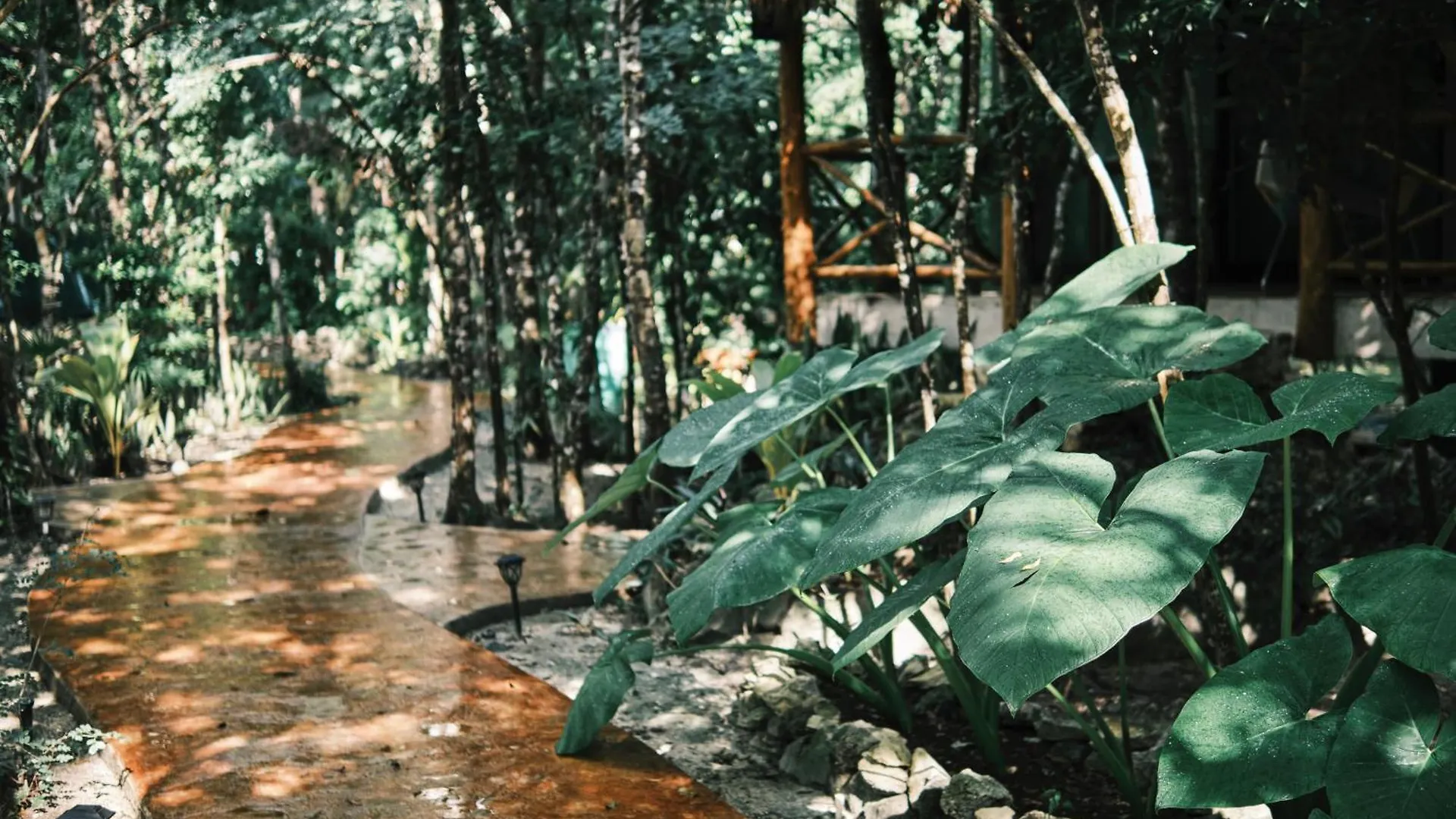 Villas Zamna - Jungle Villas Cozumel México