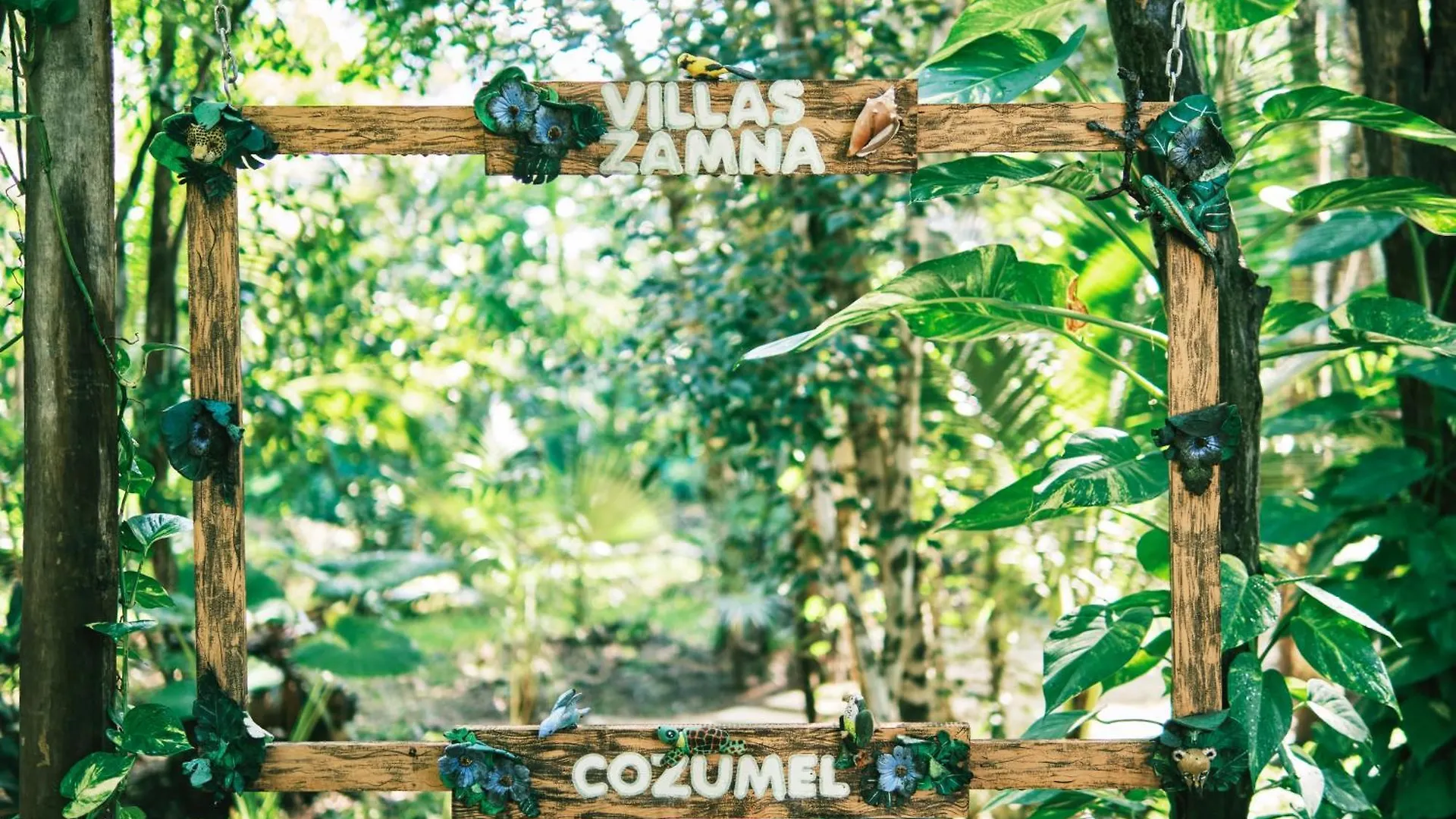 Villas Zamna - Jungle Villas Cozumel Mexico