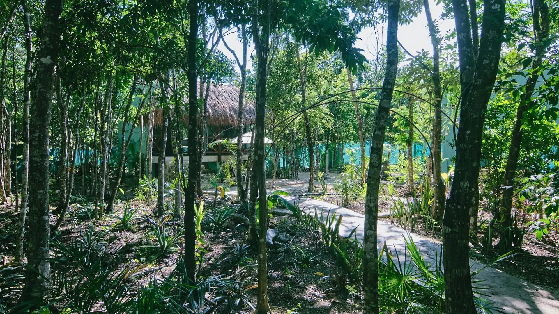 Villas Zamna - Jungle Villas Cozumel 0*,