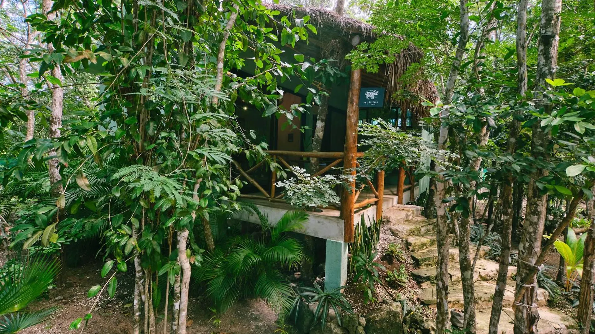 Villas Zamna - Jungle Villas Cozumel