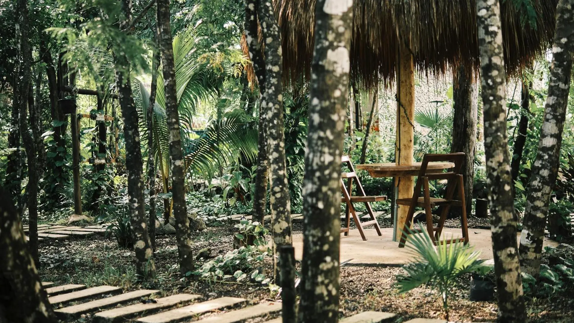 Villas Zamna - Jungle Villas Cozumel Mexico