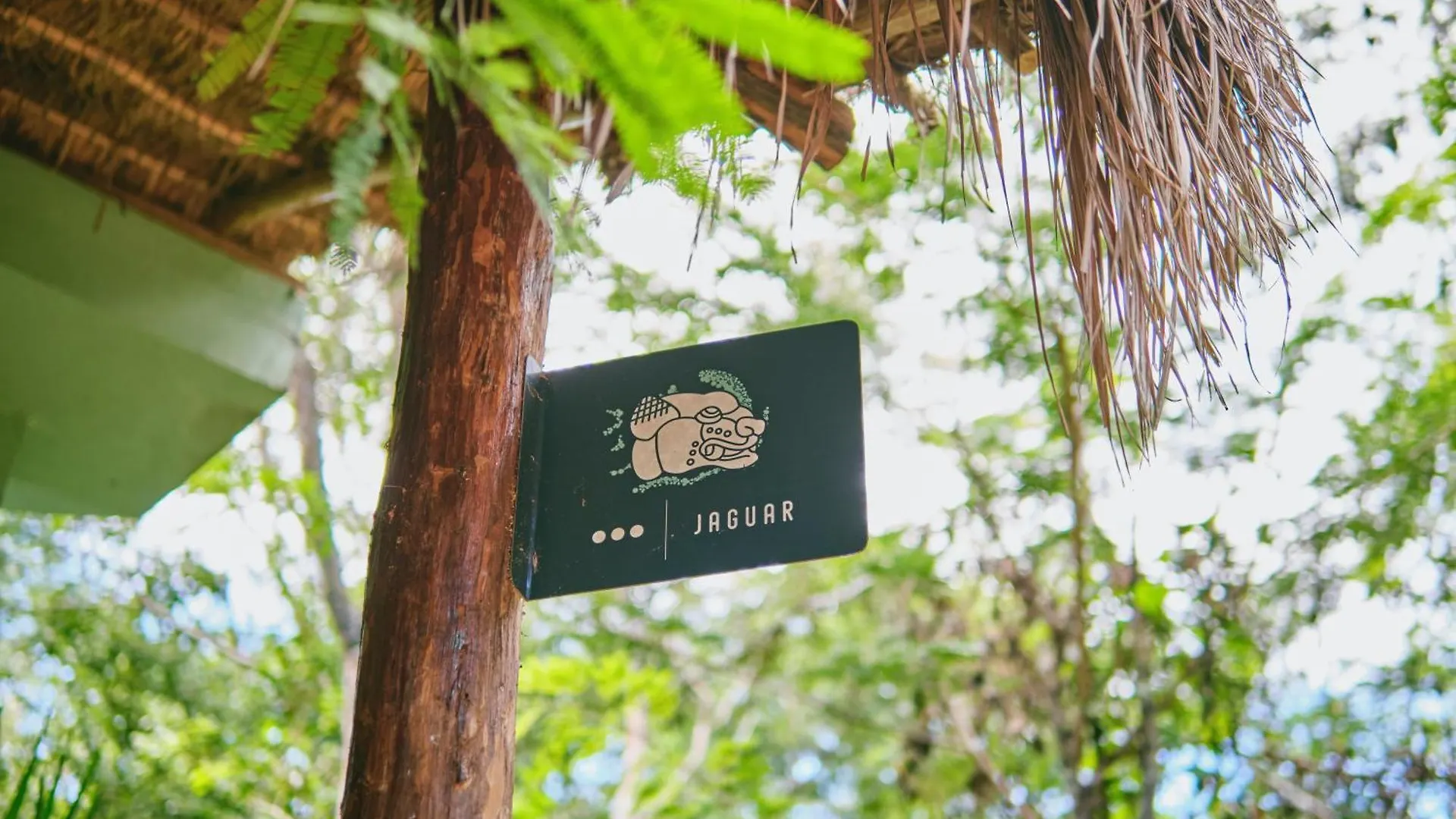Villas Zamna - Jungle Villas Cozumel